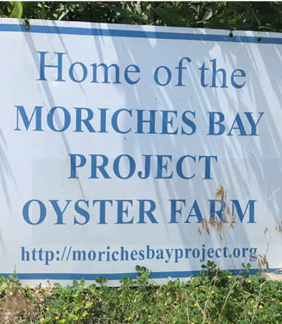 Moriches Bay Oyster Farm